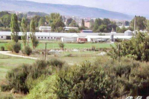 primary image