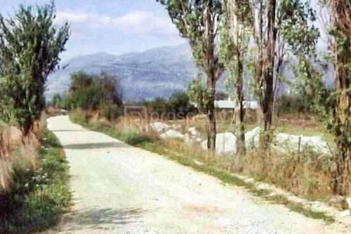 secondary image
