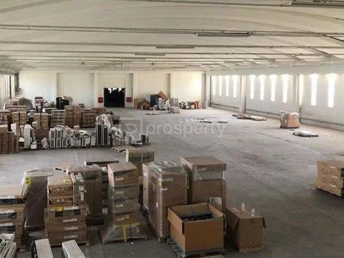primary image