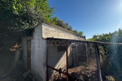 secondary image