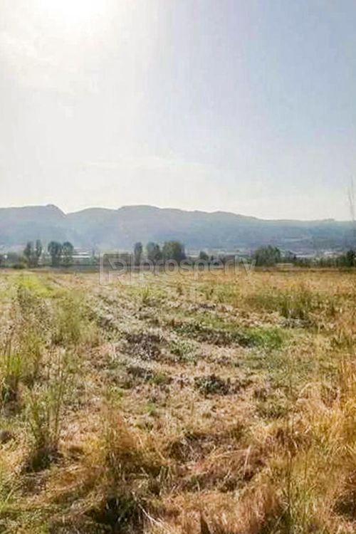 secondary image