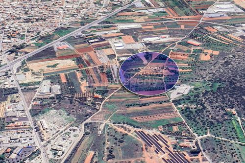 primary image