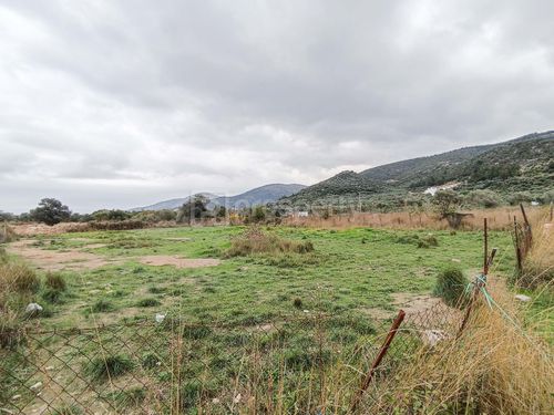 secondary image