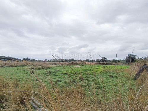 secondary image