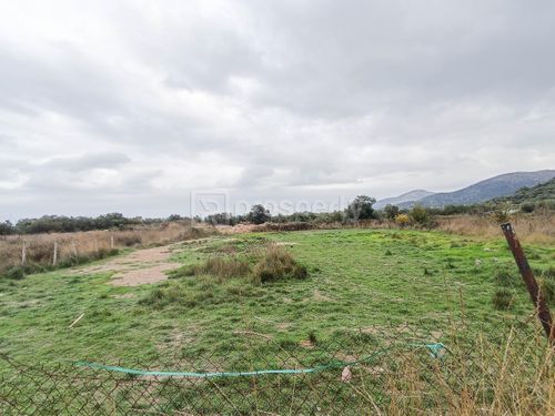 secondary image