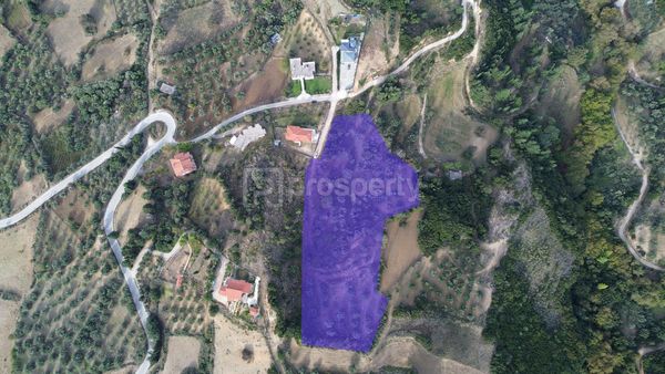 listing image 0