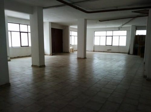 primary image
