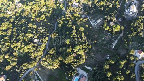 secondary image