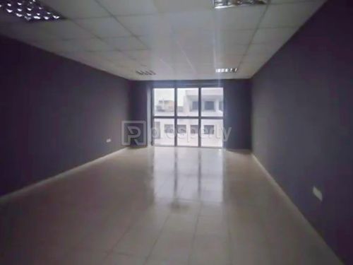primary image