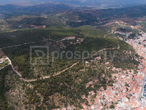 secondary image
