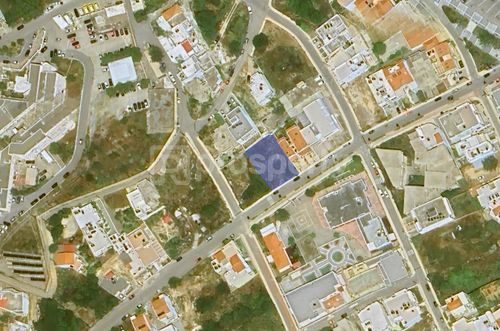 primary image