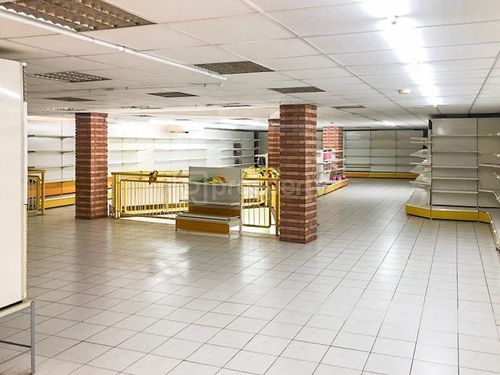 primary image