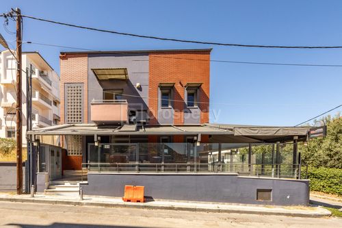 primary image