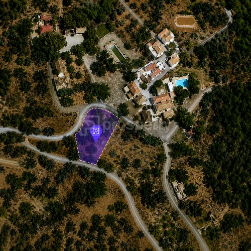primary image