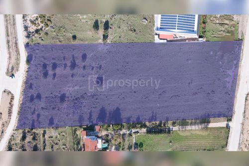 secondary image