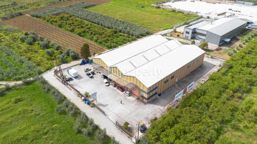 primary image