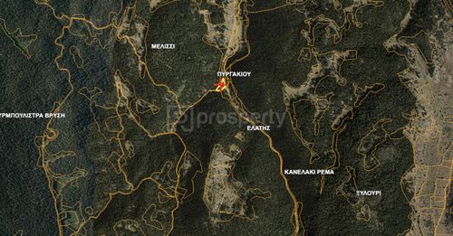 primary image