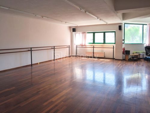 primary image