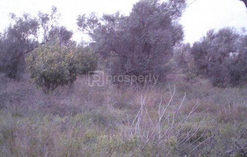 secondary image