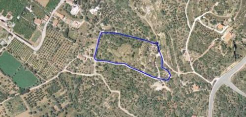 primary image