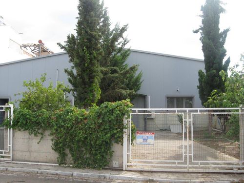primary image