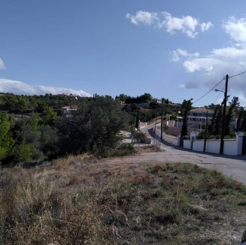 primary image