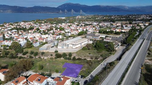 primary image